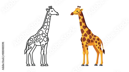 Comparison of a detailed colored cartoon giraffe vector illustration alongside its simple black and white outline drawing ready for coloring activities