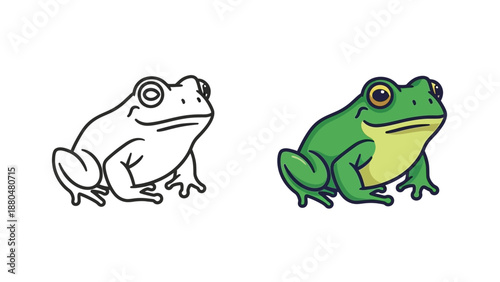 Simple cartoon style comparison showing a black and white outline drawing next to a fully colored vibrant green tree frog illustration