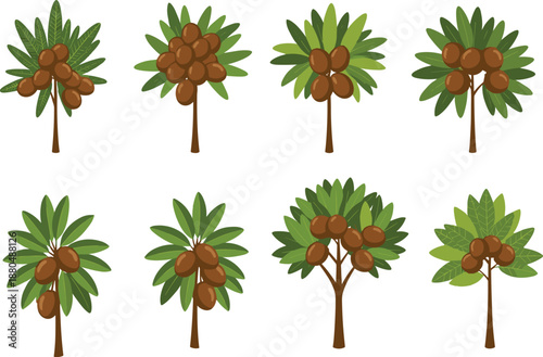 Vector sapodilla trees illustration, tropical brown fruit tree icon, cartoon garden fruit plant clipart, green leaves, nature design