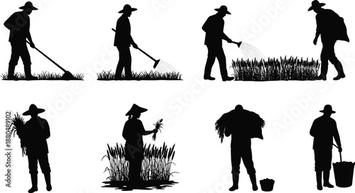 Farmer silhouette working in rice field, agriculture process, planting, harvesting, carrying crops, traditional farming, rural lifestyle, Asian agriculture illustration