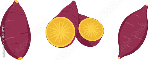 Sweet potato root vegetable vector illustration set whole and sliced yam isolated food graphic design