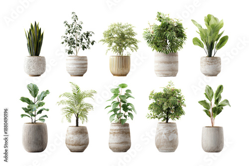 A collection of potted plants in various sizes and shapes. The plants are arranged in a row, with some taller and some shorter. Scene is calm and peaceful, as the plants are all green, png