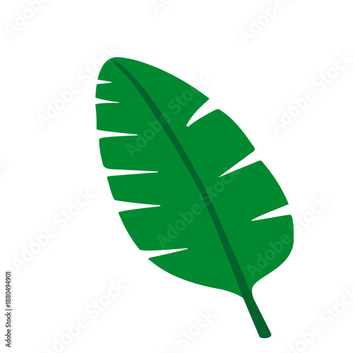 Large green banana leaf with parallel veins icon for tropical themes, interior design, or jungle-inspired branding with bold shape.
