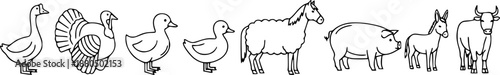 Farm animals line icon set. Vector pictograms of domestic goose, turkey, chick, duckling, duck, sheep, horse, pig, donkey, ox, thin linear illustration.