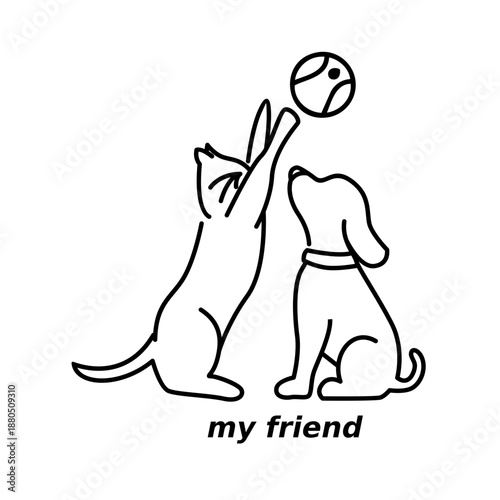 dogs and cats playing ball outside