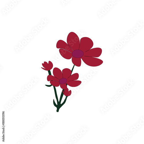 Pink flower