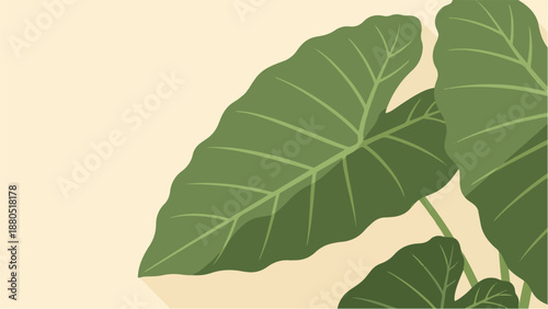 Large green tropical leaves with visible veins on a pale yellow background