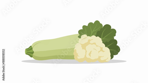Light green squash and cauliflower with dark green leaves on a white background