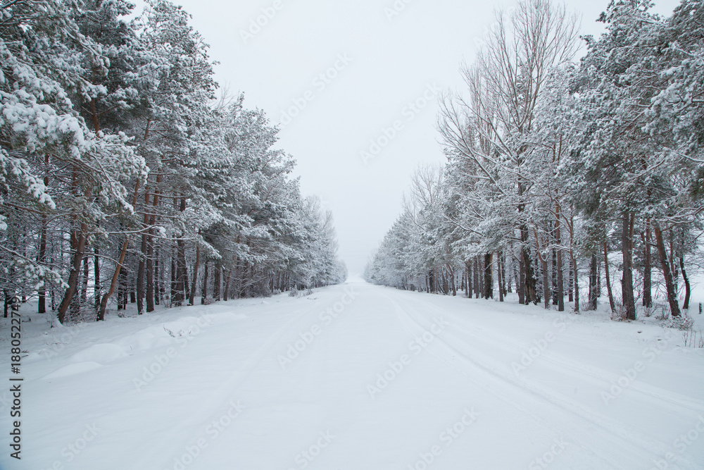 Fototapeta premium Snowy winter mountain road in Armenia with scenic landscape, icy conditions, and travel route through remote nature. Cold season transportation concept with wilderness, snowfall and driving conditions