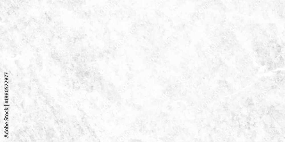 Obraz premium Concrete white Panorama blank rough wall for background. Abstract white stone concrete floor or old cement grunge background. crack white wall texture.