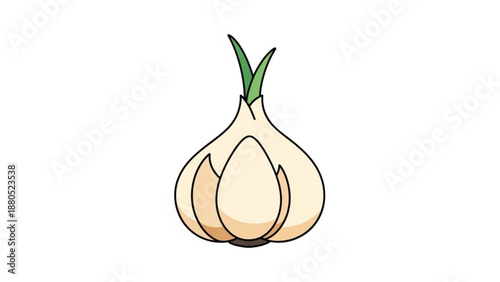 Detailed illustration of a fresh whole garlic bulb with green sprouts on top ready for cooking and culinary use