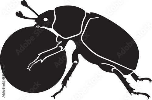 Dung Beetle Silhouette on White Background