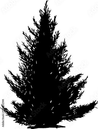 Coniferous tree silhouette creating isolated design element