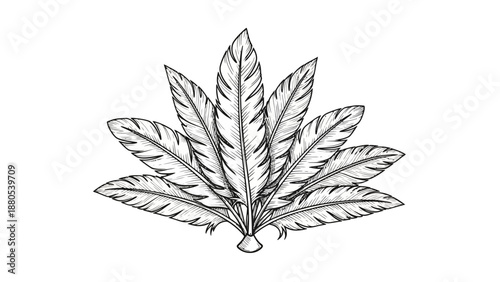Detailed cannabis leaf illustration drawing.