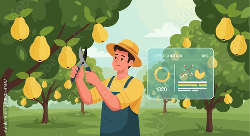 Man picking pears from tree branch.