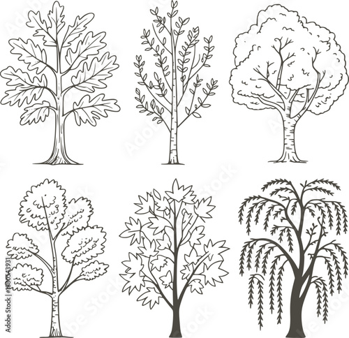 Six Different Types of Trees in Monochrome Line nature leaves