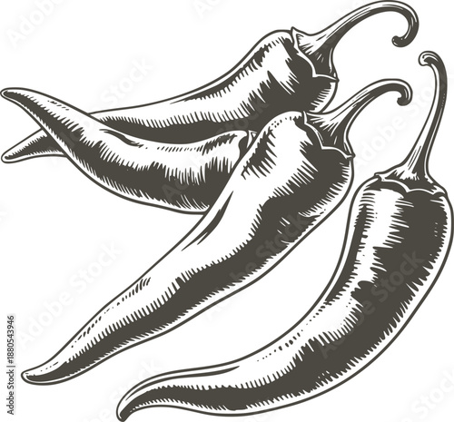 Three glossy black hand drawn chili peppers with detailed texture and shading