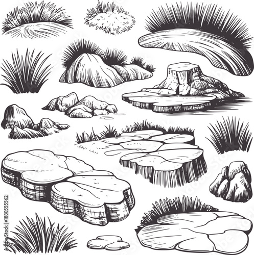 Black and of rocks and grass clumps in a natural setting stone vegetation