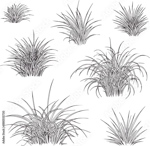 Wallpaper Mural Detailed of Various Grass Clumps in Black and plants vegetation Torontodigital.ca