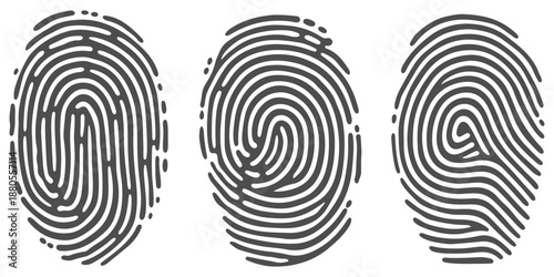 Fingerprint: Intricate patterns of unique fingerprints, showcasing the detailed ridges that define each individual's identity, symbolizing individuality and personal identification.