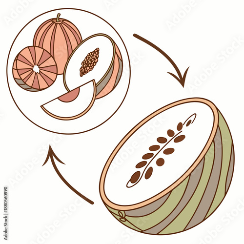 Concept illustration of food enzymatic browning control technology, preventing discoloration and preserving freshness