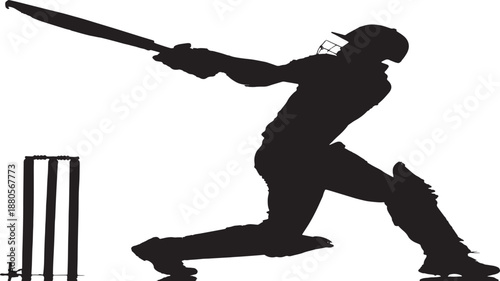 Cricket batsman playing shot silhouette, professional sports action, clean flat vector style