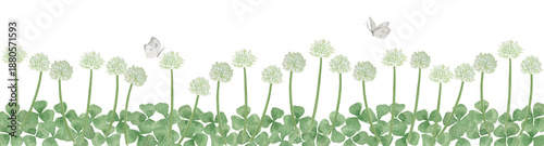 シロツメクサとクローバーWatercolor white clover and butterfly border. Hand-painted spring meadow floral footer with green leaves.-300dpi-