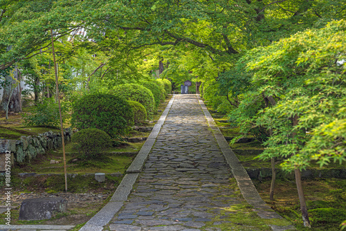 京都 酬恩庵一休寺 参道の夏景色