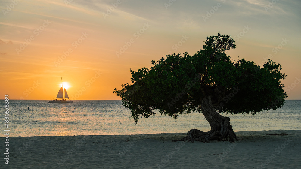 Obraz premium Stunning sunset over Eagle Beach in Aruba with a sailboat and a tropical tree