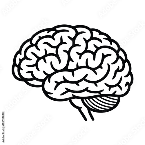 a black and white drawing of a human brain