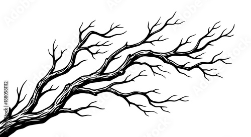 Stylized black and white illustration of bare tree branches reaching outwards
