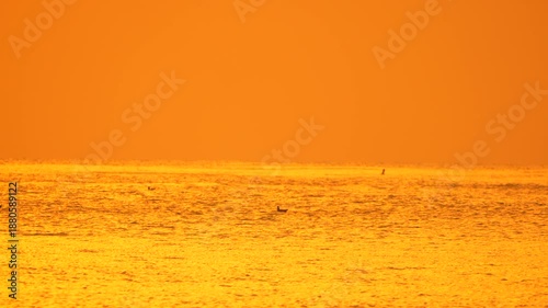 Golden sunset ocean birds flying low over the glittering water surface in a dramatic, abstract orange heat haze.