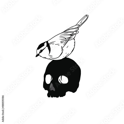Small bird perched on a black human skull illustration
