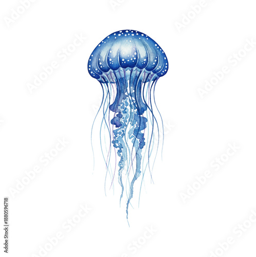 Beautiful blue watercolor jellyfish with translucent bell and flowing tentacles swimming in ocean