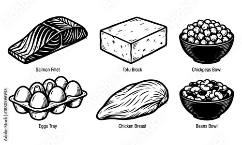 Black and white engraving set of high protein food ingredients and icons.