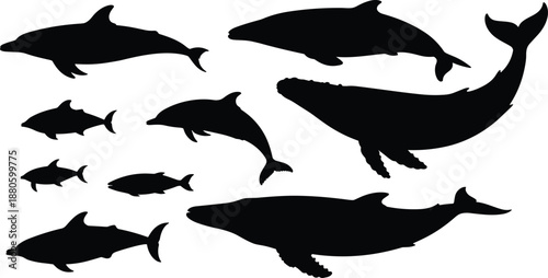 Marine animal silhouettes collection with whales dolphins and fish, underwater wildlife shapes, ocean sea life concept, black figures isolated illustration
