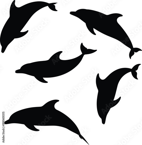   
Dolphin silhouettes, marine animals, circular composition, aquatic motion, black shapes, sea creatures, dynamic poses, underwater theme, ocean wildlife, graceful swimming