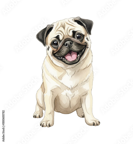 Happy Pug Dog Sitting with Tongue Out Smiling Adorable Pet Watercolor Illustration White Background