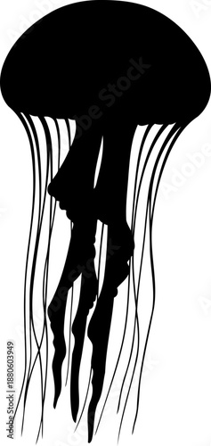 abyssal grace a flowing silhouette capturing the hypnotic dance of the oceans mystical heartbeat, vector isolated on transparent background