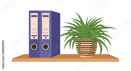 Simple office shelf with two blue ring binder folders and a lush green potted plant in a striped ceramic container for a organized workspace.