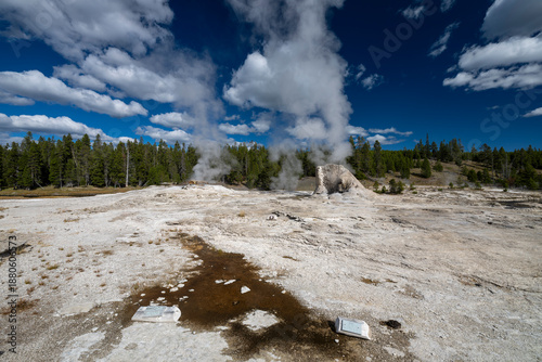 Yellowstone