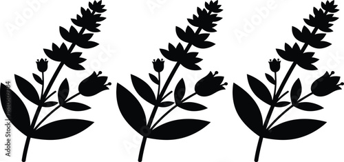 Black silhouette of three flowering plant stems with leaves