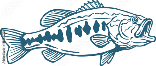 Tableau sur toile Largemouth Bass Fish Hand Drawn Vector Illustration, Fishing Artwork Design