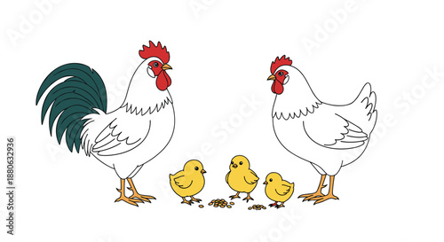 Traditional farm scene shows a rooster and hen with three small yellow chicks feeding on seeds on a white background.