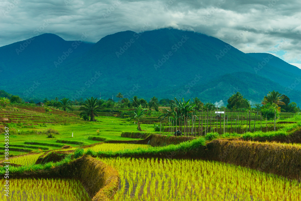 Fototapeta premium Beautiful morning view in Indonesia, panoramic landscape of rice fields with mountain ranges and clear sky