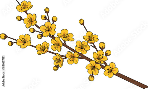 Beautiful vector illustration of a flowering branch with yellow blossoms and buds isolated on white background for spring greeting cards and seasonal decor.