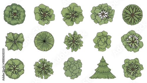 Collection of green floral illustrations from various viewpoints and perspectives displayed together