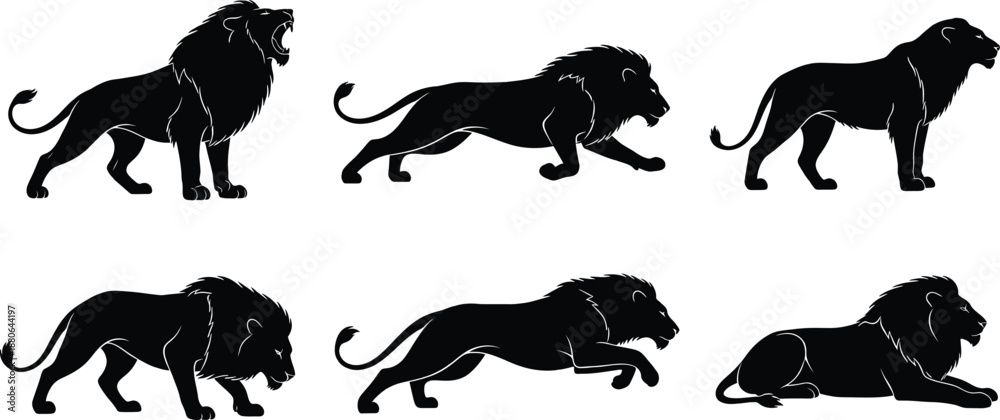 Obraz premium a set of black lion silhouettes in various poses