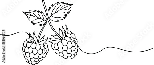 Minimalist single line drawing of two ripe raspberries with leaf and stem, continuous outline fruit vector illustration