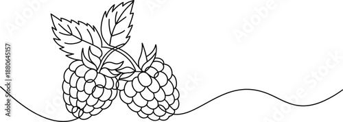 Minimalist single line drawing of two ripe raspberries with leaf and stem, continuous outline fruit vector illustration